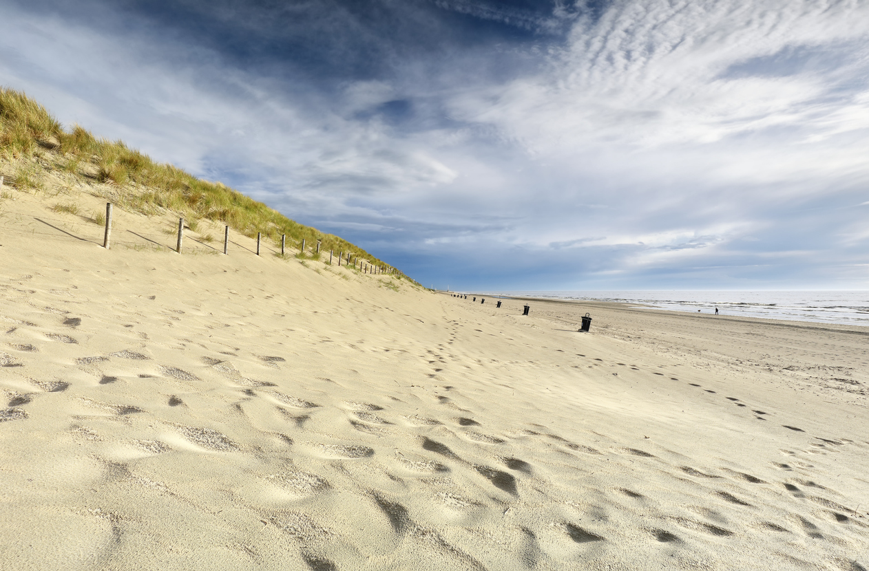 Naaktstrand Zandvoort - NFN